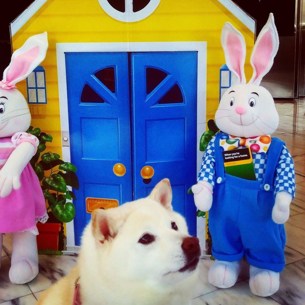 Meet your Posher, Jocelyn